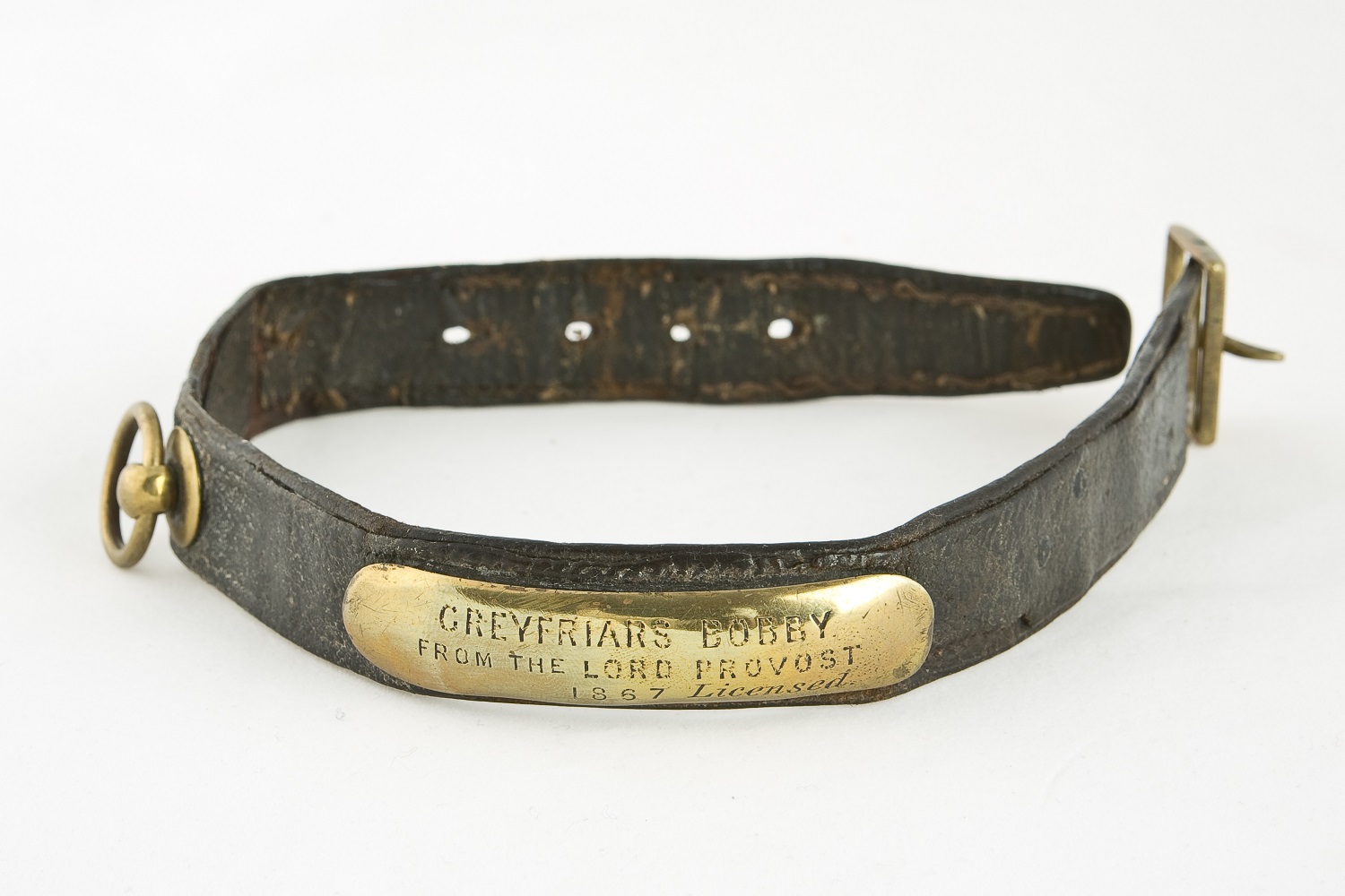 Greyfriars Bobby's collar with label inscribed with his name