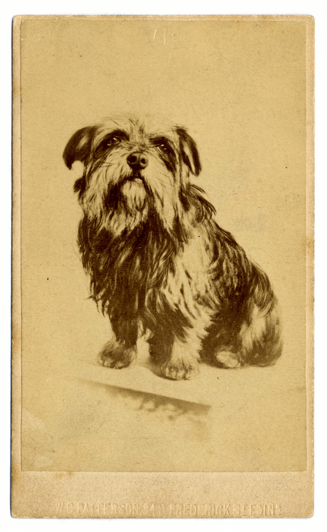 Sepia photograph by W. G. Patterson of Greyfriars Bobby