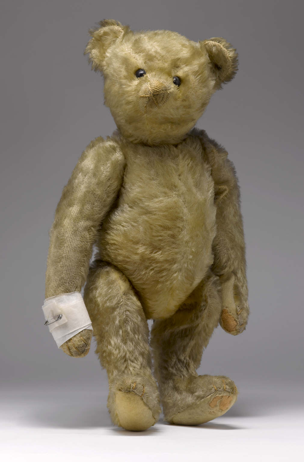 A light brown teddy bear standing on his back legs, with a bandage on his front right paw held in place with a safety pin