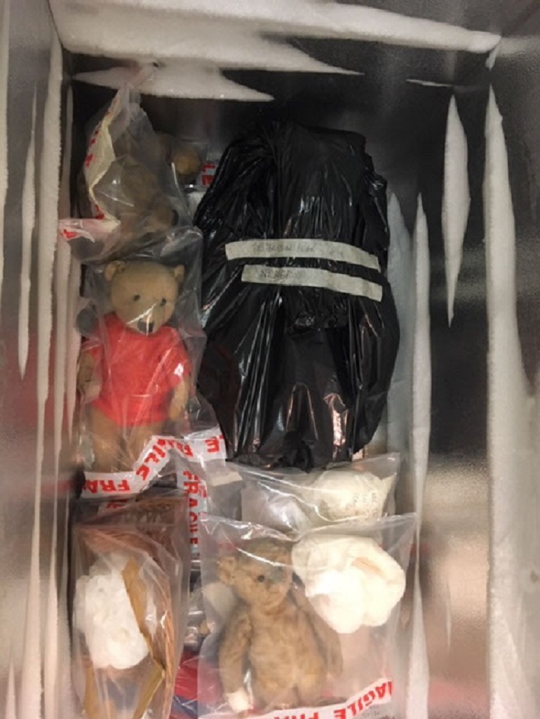 Teddy bears in freezer