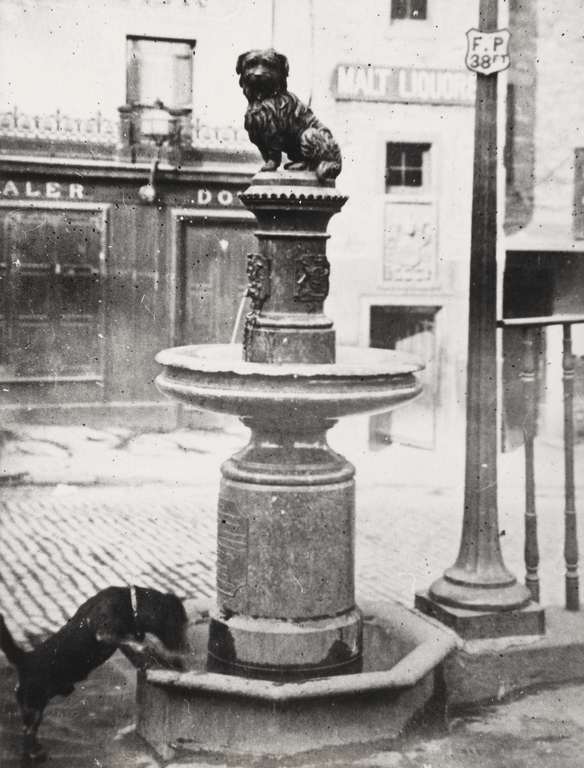 Water fountain with statue of Greyfriars Bobby Water fountain with statue of Greyfriars Bobby