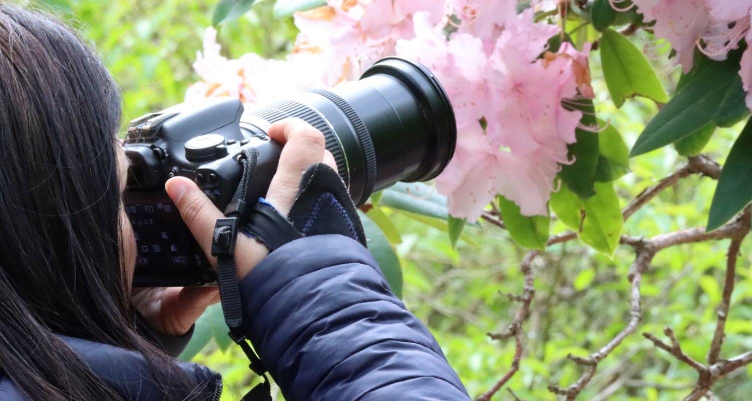 Colour photograph close-up of a woman holding a camera, seen from behind