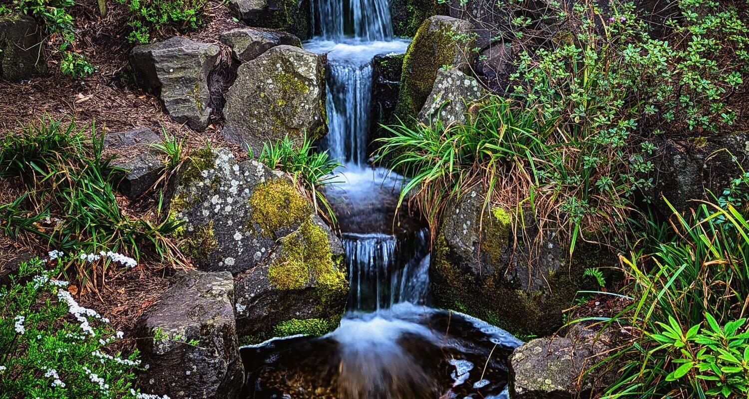 A small waterfall between mossy rocks and green plants
