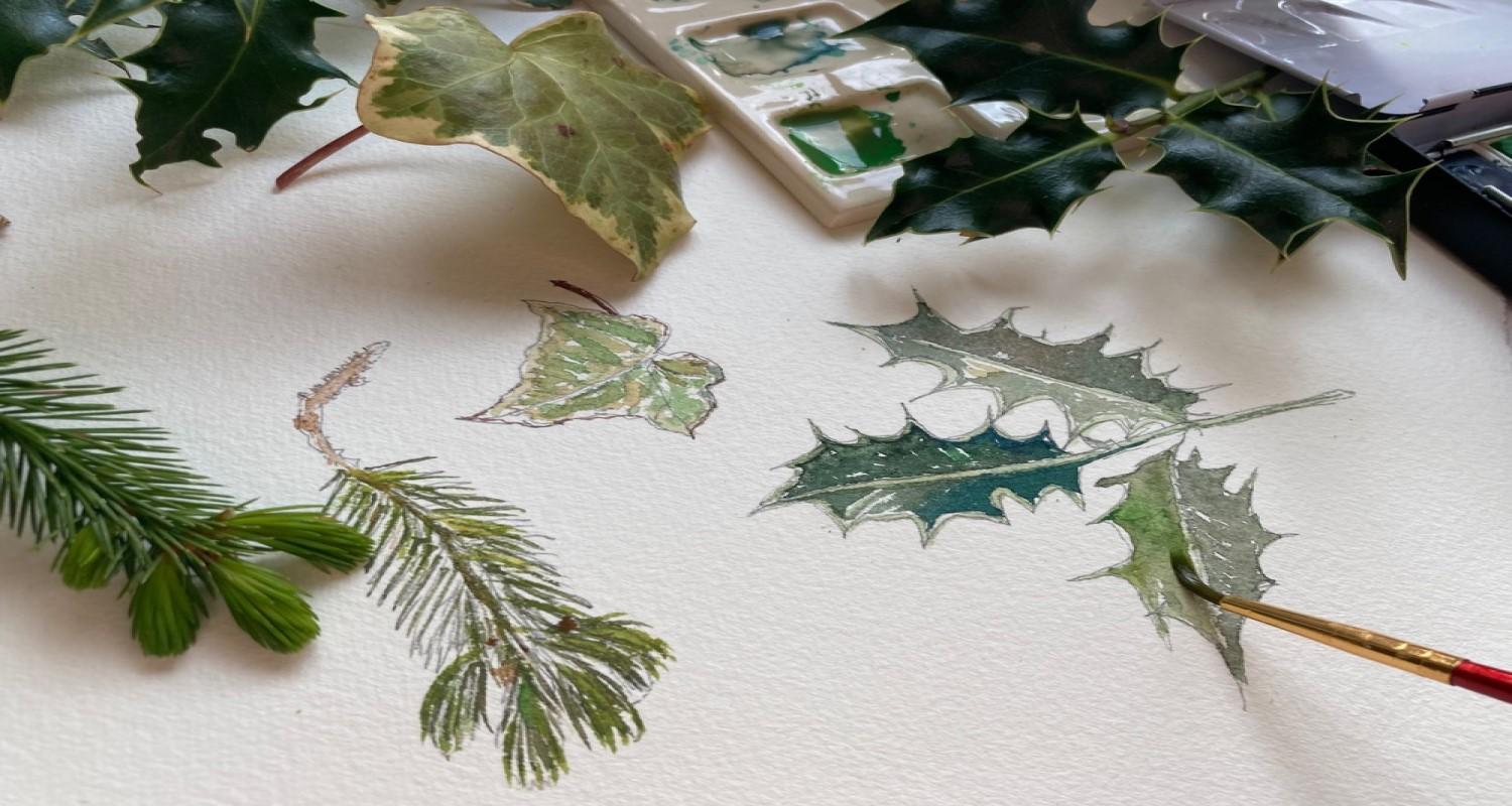 Fir, holly leaves and ivy sitting on paper on which they've been painted in watercolour