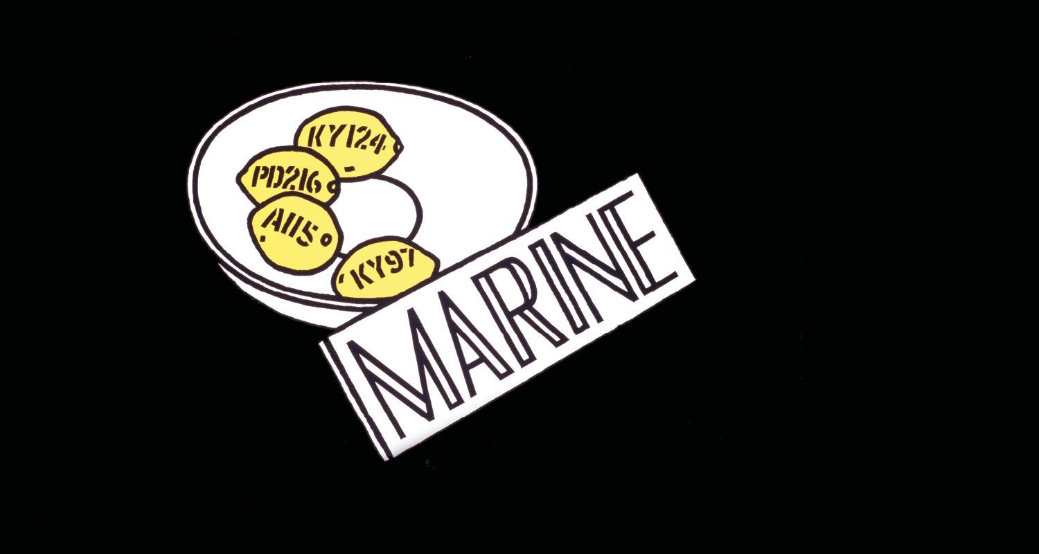 Marine by Ian Hamilton Finlay