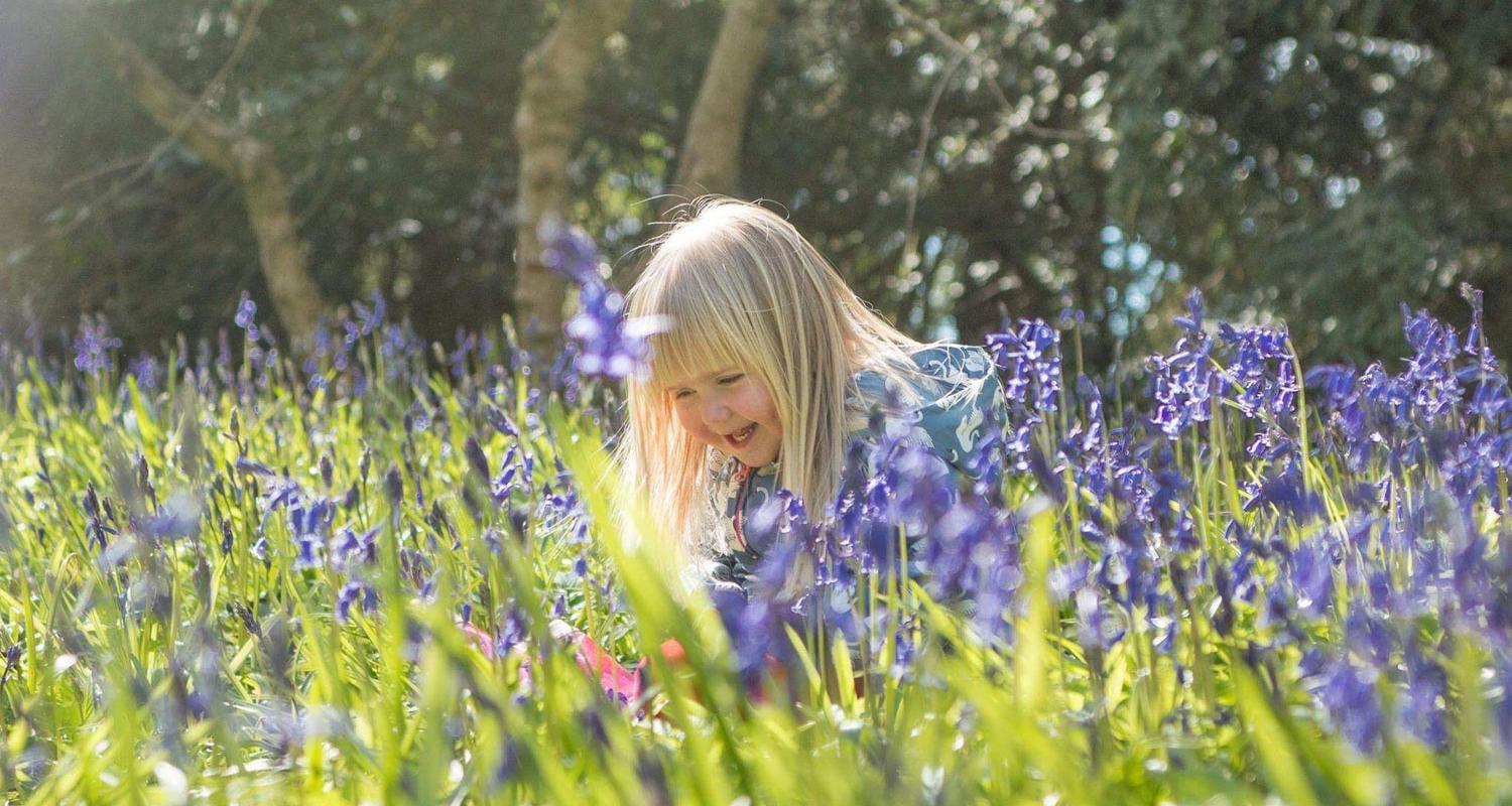 It's Spring at the Castle!