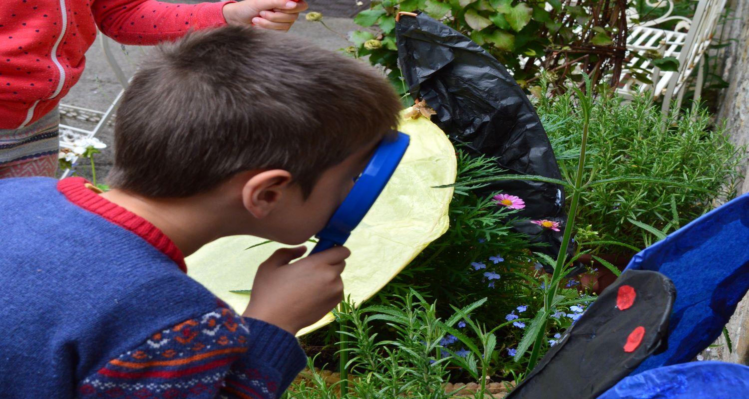 child looking through a magnifying glass at mini-beasts