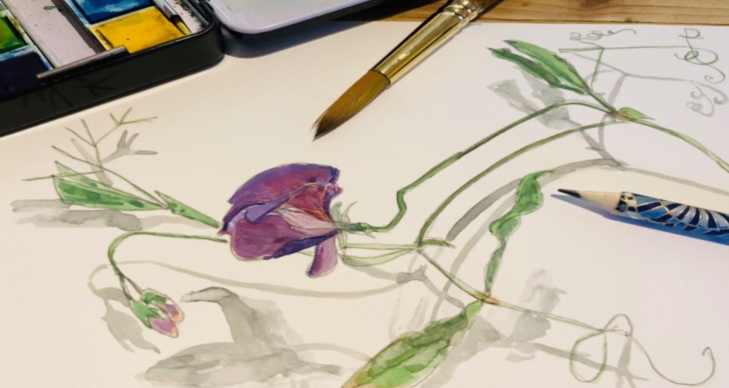 A watercolour painting of a purple flower, with brush, pencil and palette