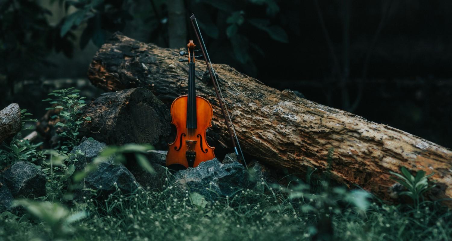 A violin and bow leaning against a log in the middle of a forest