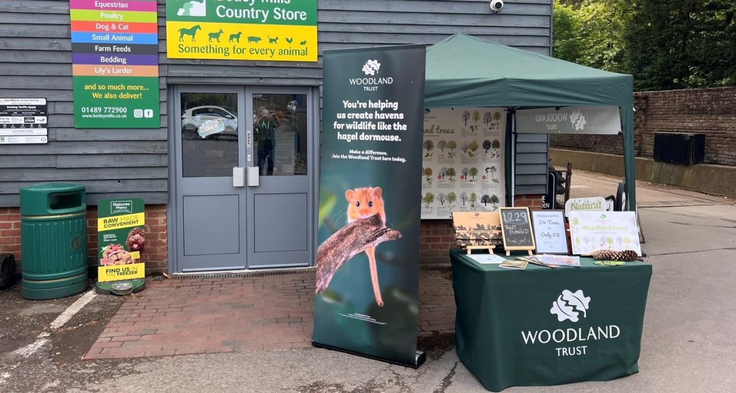 A Woodland Trust stall comprising a green gazebo and table with leaflets and pine cones outside a shop entrance