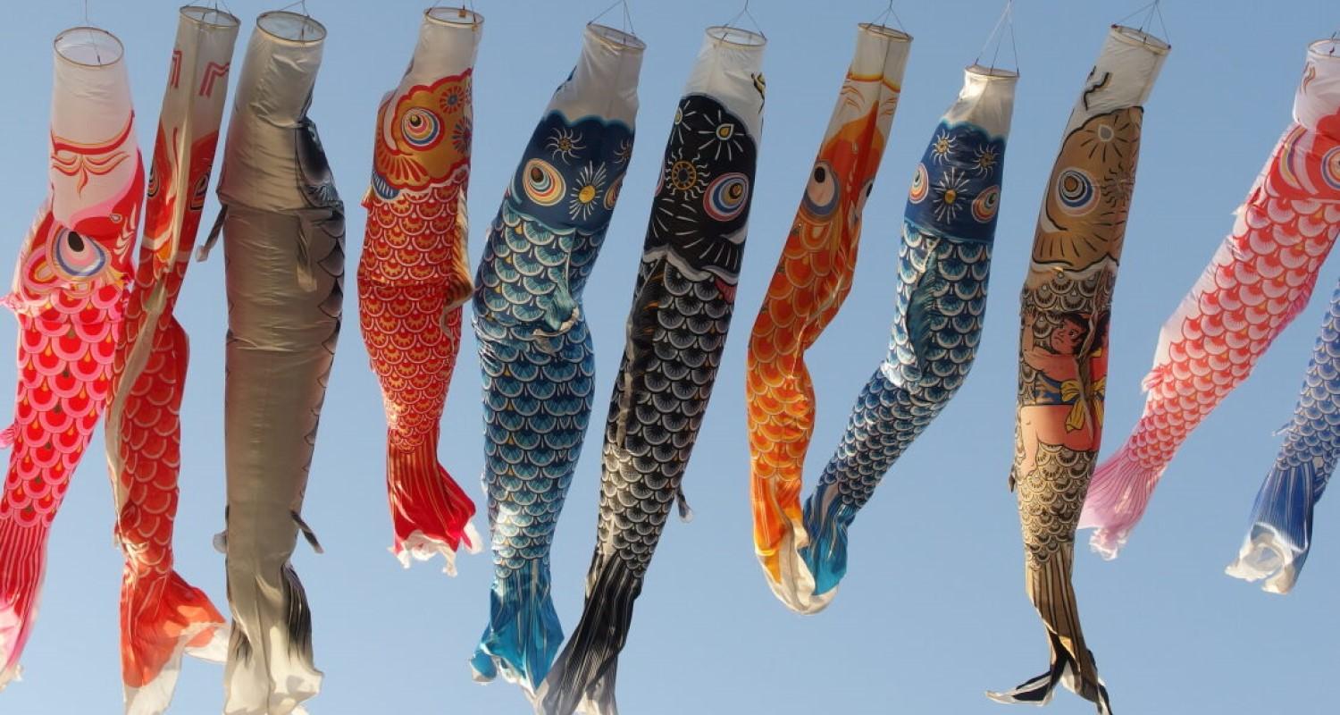 A row of carp kites blowing in the breeze against a blue sky