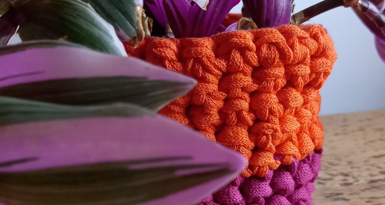 A plant in a purple and orange crocheted pot