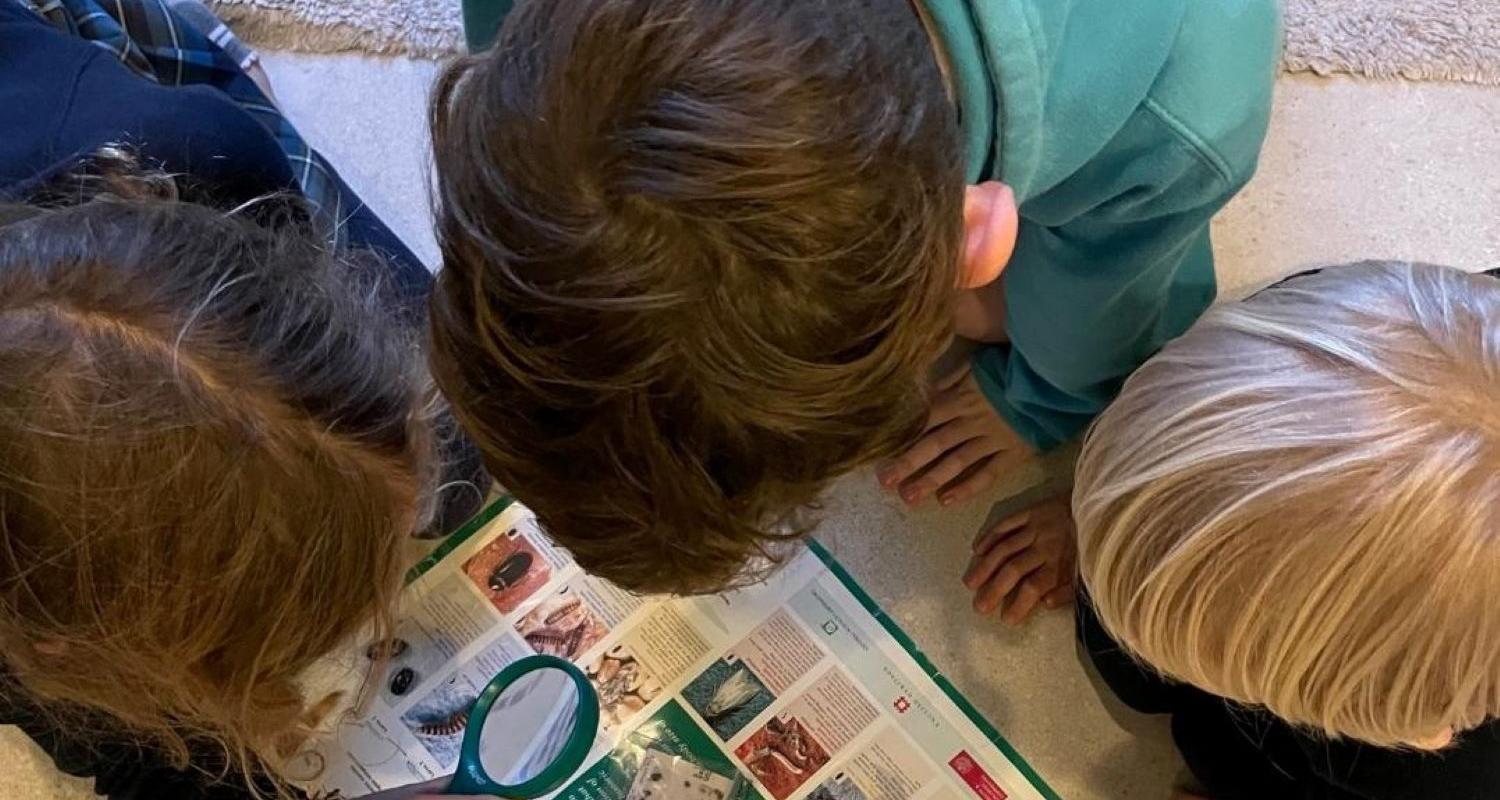 three children looking at museum pest traps