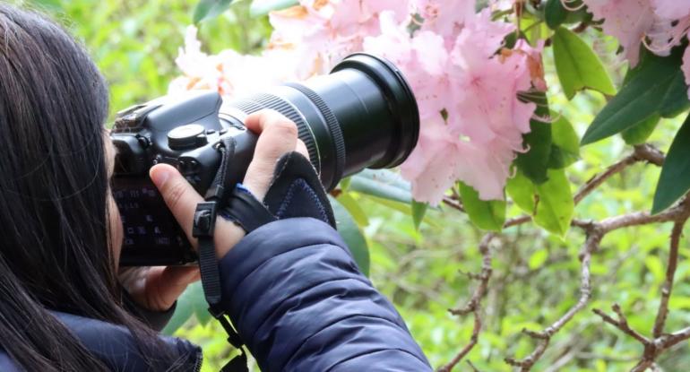 Colour photograph close-up of a woman holding a camera, seen from behind