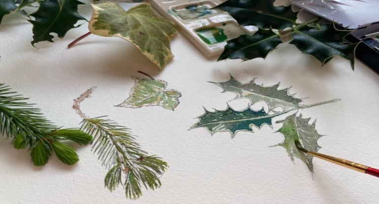 Fir, holly leaves and ivy sitting on paper on which they've been painted in watercolour