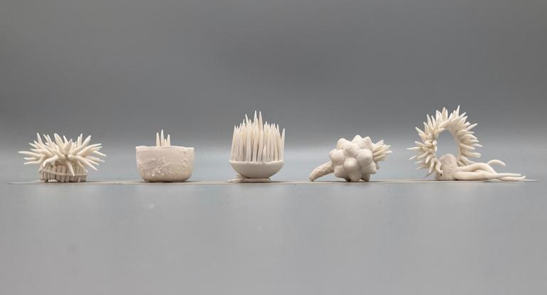 Five white, spiky sea-creature type porcelain artefacts against a grey background