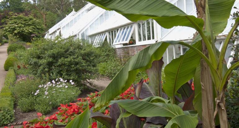 Our Heritage in Our Hands: Caring for Scotland’s Great Gardens