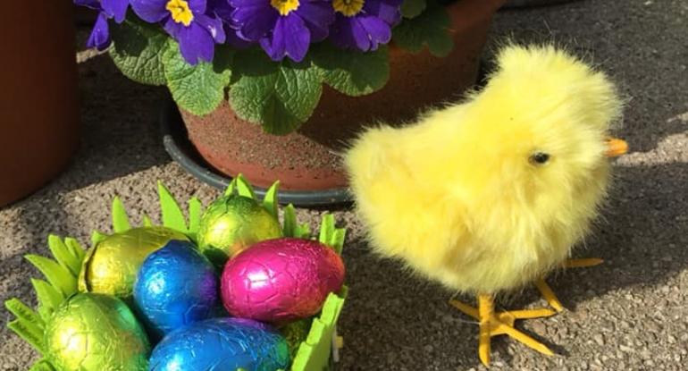 An easter chick beside a basket of chocolate eggs