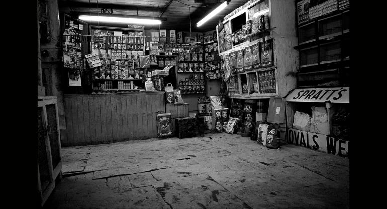Historical photograph of interior of an Edinburgh pet shop