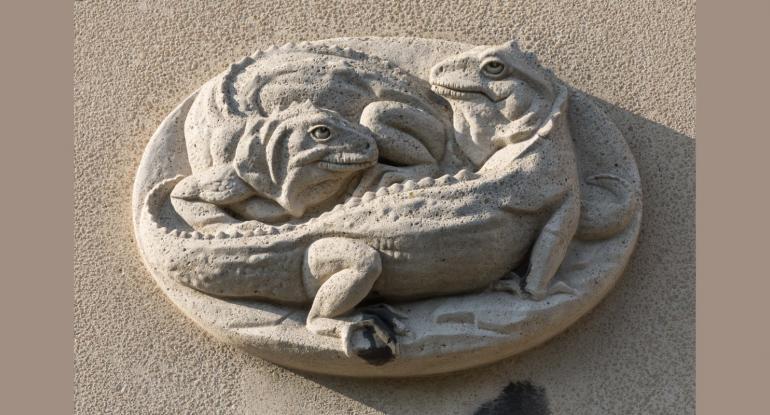 A stone carving of two sphenodon lizards forming an oval shape