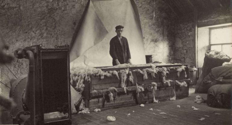 man standing behind racks of sheared sheep's wool - Historical black and white photograph