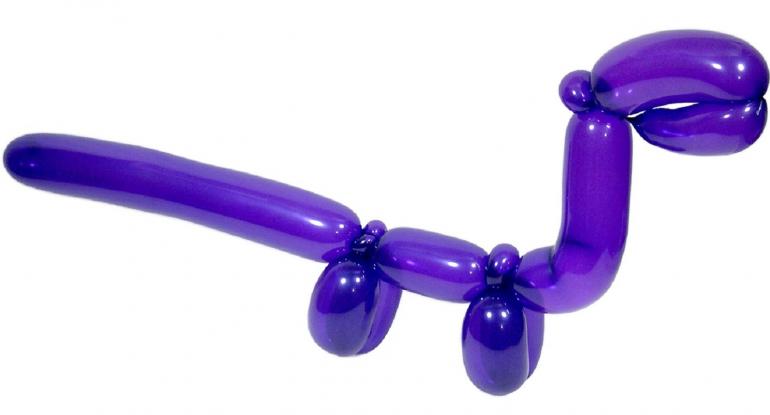 Balloon Modelling 