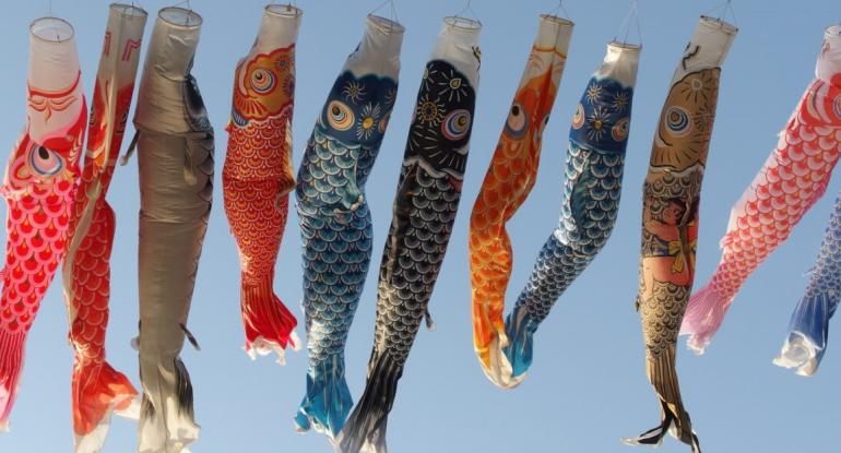 A row of carp kites blowing in the breeze against a blue sky