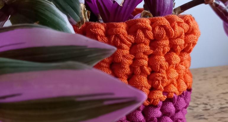 A plant in a purple and orange crocheted pot