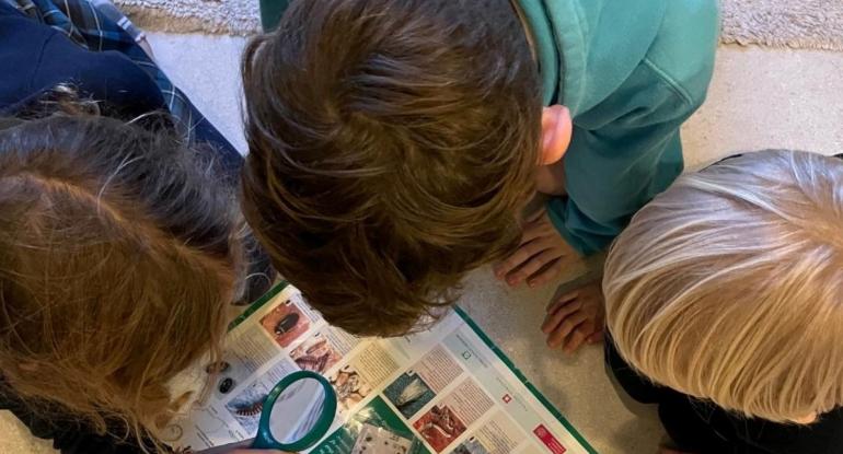 3 children looking at museum pest traps