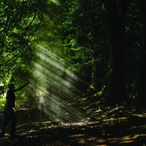 Person in a dimly lit forest reaching into dust illuminated by sunlight.