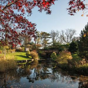 Japanese Garden at Lauriston Castle