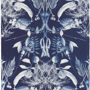 A modern cyanotype, "Autumn Repeat" by Nicola Murray