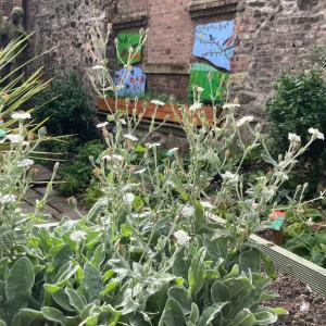 Plants  in the foreground and with a mural showing insects and plants in the background