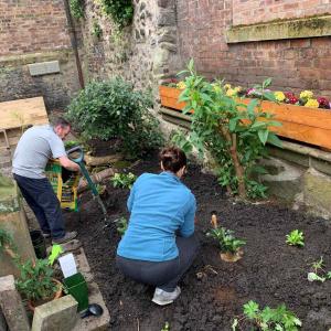 Two people seen from behind adding plants to a border area.