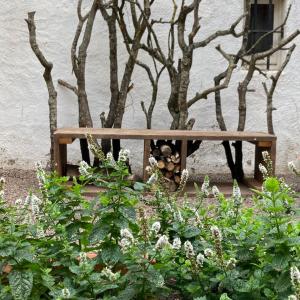 A wooden bench with branches on on the back and an insect hotel underneath. A planter with herbs in the foreground