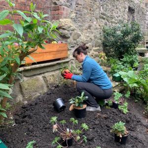 A woman in a blue top crouching in plant border putting in a new plant. 